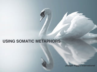 USING SOMATIC METAPHORS
Joseph Riggio International
 