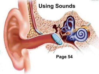 Using Sounds Page 54 