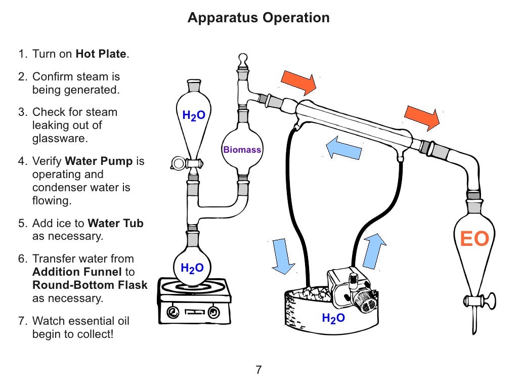 Using Steam Distillation to Produce Essential Oils