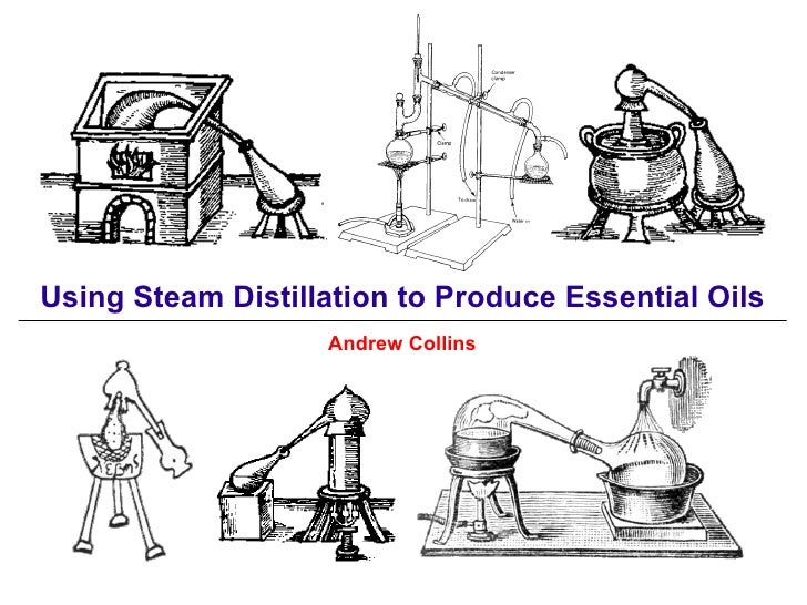 Using Steam Distillation to Produce Essential Oils