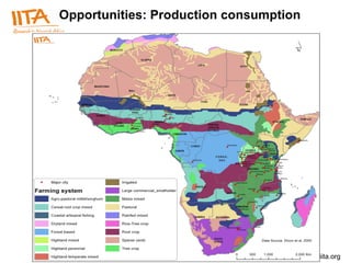 Opportunities: Production consumption 