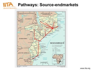 Pathways: Source-endmarkets 