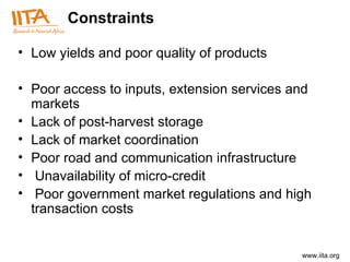 Constraints  Low yields and poor quality of products Poor access to inputs, extension services and markets Lack of post-harvest storage Lack of market coordination Poor road and communication infrastructure Unavailability of micro-credit Poor government market regulations and high transaction costs 