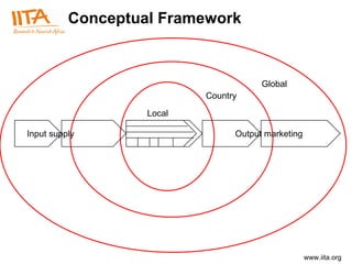 Conceptual Framework Local Country Global Input supply Output marketing 