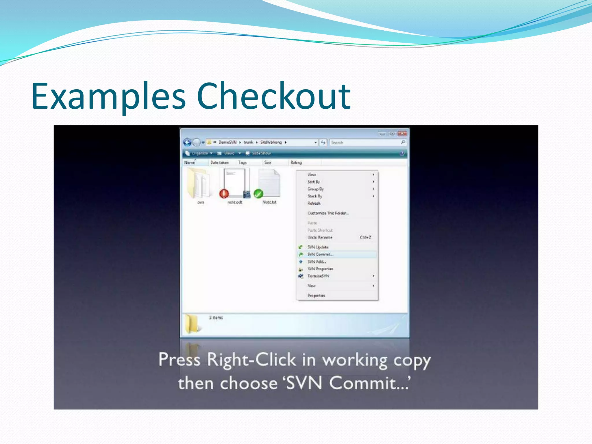 Examples Checkout

 