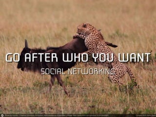 Using tech and social media to land dreamjob