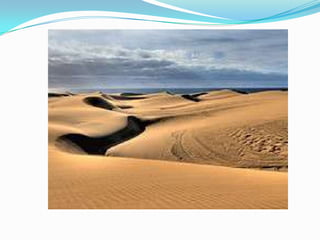 Using technology for teaching and learning in the