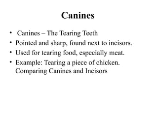 Understanding the Role of Canines and Incisors in Humans and Animals | PPTX