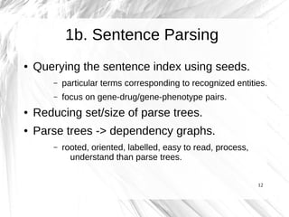 1b. Sentence Parsing
●   Querying the sentence index using seeds.
        –   particular terms corresponding to recognized entities.
        –   focus on gene-drug/gene-phenotype pairs.
●   Reducing set/size of parse trees.
●   Parse trees -> dependency graphs.
        –   rooted, oriented, labelled, easy to read, process,
              understand than parse trees.


                                                                 12
 