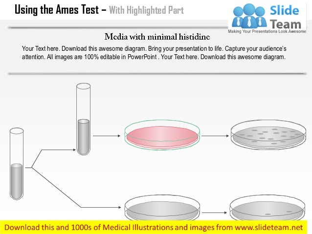 using the ames test medical images for power point ames test