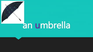 an umbrella
 