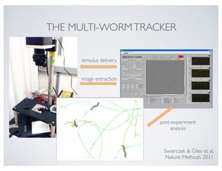 stimulus delivery
Swierczek & Giles et al.  
Nature Methods 2011
image extraction
post-experiment
analysis
THE MULTI-WORMTRACKER
 