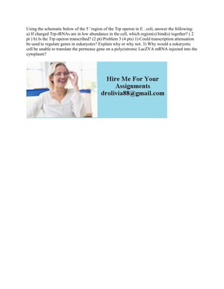Using the schematic below of the 5 ' region of the Trp operon in E . coli, answer the following:
a) If charged Trp-tRNAs are in low abundance in the cell, which region(s) bind(s) together? ( 2
pt ) b) Is the Trp operon transcribed? (2 pt) Problem 3 (4 pts) 1) Could transcription attenuation
be used to regulate genes in eukaryotes? Explain why or why not. 3) Why would a eukaryotic
cell be unable to translate the permease gene on a polycistronic LacZYA mRNA injected into the
cytoplasm?
 
