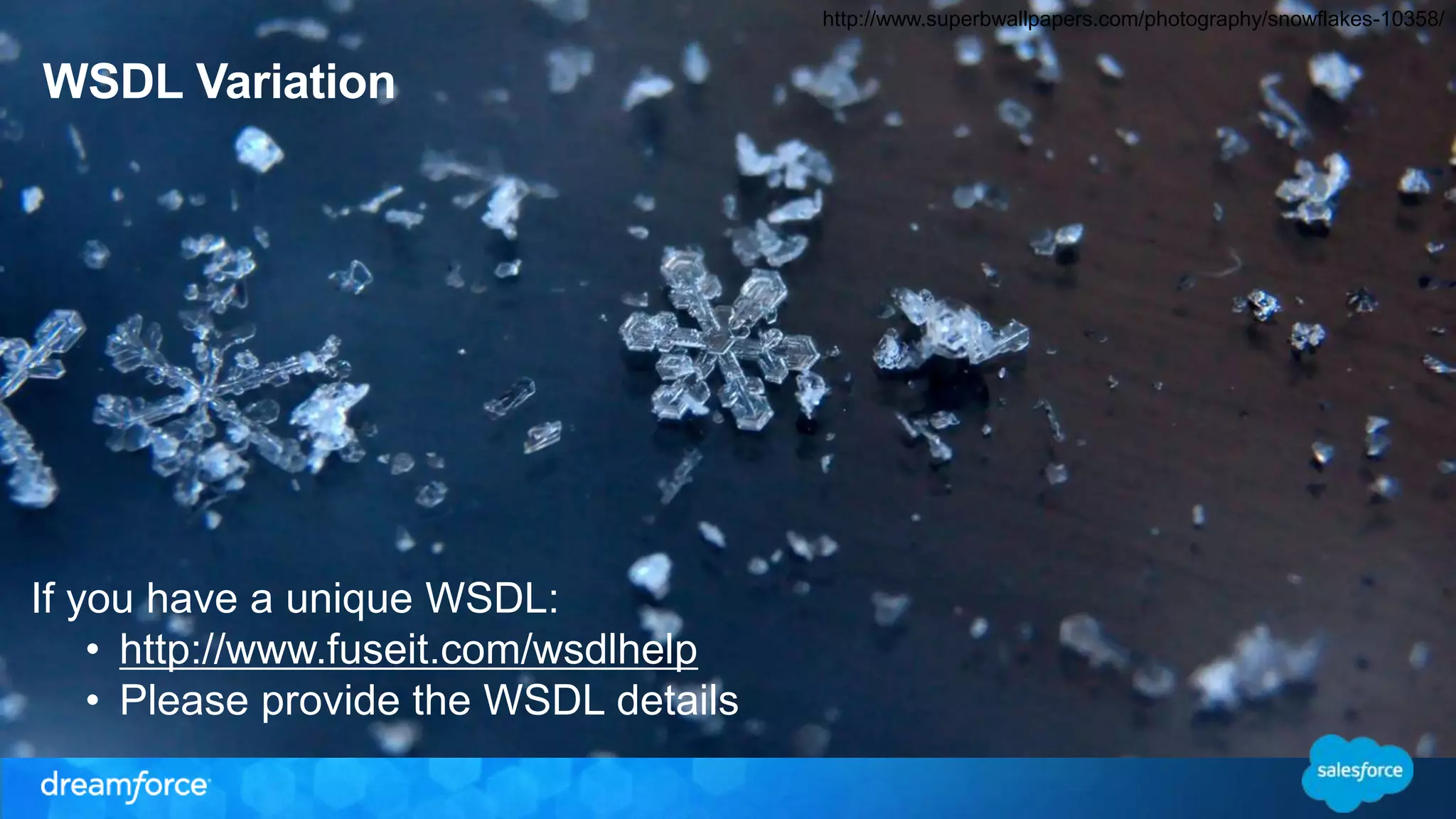 WSDL Variation http://www.superbwallpapers.com/photography/snowflakes-10358/ If you have a unique WSDL: • http://www.fuseit.com/wsdlhelp • Please provide the WSDL details 