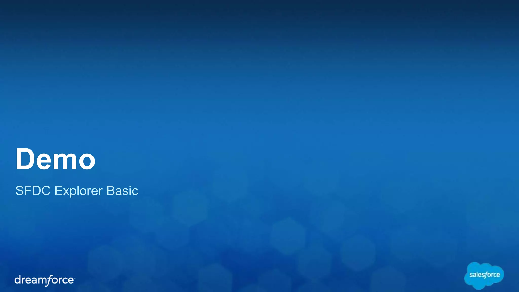 Demo SFDC Explorer Basic 