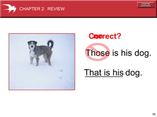 16
Those is his dog.
That is his
Correct?no
dog.
CHAPTER 2: REVIEW
 