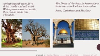 African baobab trees have
thick trunks and soft wood.
With space carved out inside,
they can be made into
dwellings.
The Dome of the Rock in Jerusalem is
built over a rock which is sacred to
Jews, Christians and Muslims.
prepared by :Dania albanna ---- Dana al qottob----- Mohammed al-lozi
 