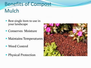 Benefits of Compost
Mulch
 Best single item to use in
  your landscape

 Conserves Moisture

 Maintains Temperatures

 Weed Control

 Physical Protection
 