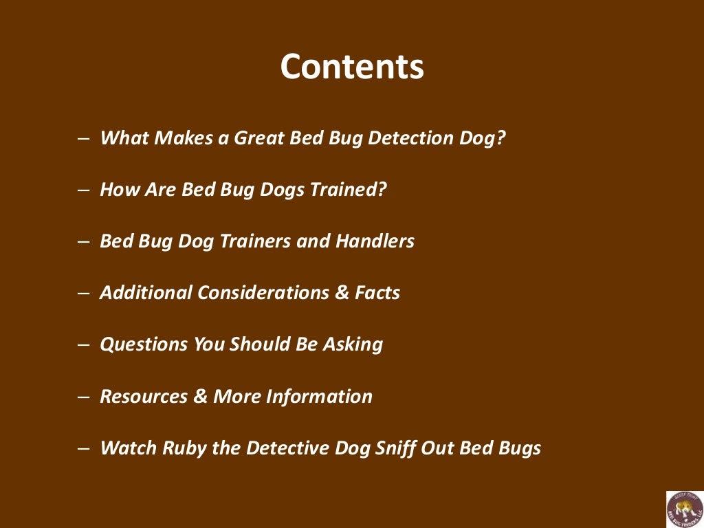 Using trained dogs to sniff out bed bugs