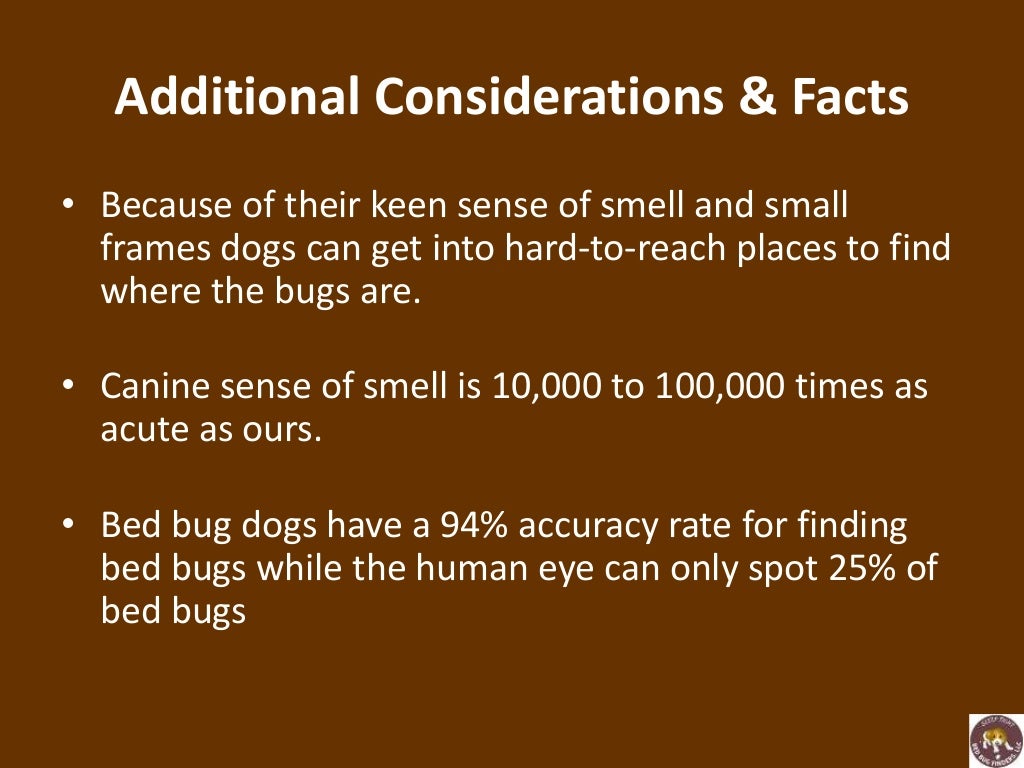 Using trained dogs to sniff out bed bugs