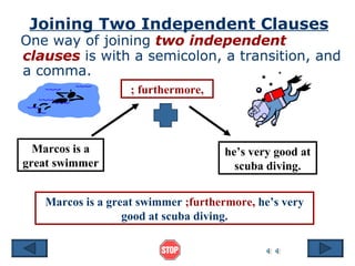 Joining Two Independent Clauses
One way of joining two independent
clauses is with a semicolon, a transition, and
a comma.
                   ; furthermore,



  Marcos is a                        he’s very good at
great swimmer                          scuba diving.


   Marcos is a great swimmer ;furthermore, he’s very
                  good at scuba diving.
 