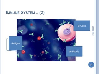 IMMUNE SYSTEM .. (2)


                              B-Cells




                                         JCSSE 2012
  Antigen


                       Antibody




                                        34
 