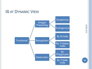 IS AT DYNAMIC VIEW
                                Exogenous
                   Antigen
                  Presenting




                                               JCSSE 2012
                                Endogenous


                                By B-Cells
     Functional   Recognition
                                By T-Helper
                                   Cells

                                   By
                                Phagocytes
                  Destruction
                                By T-Killer   43
                                  Cells
 