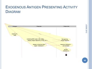EXOGENOUS ANTIGEN PRESENTING ACTIVITY
DIAGRAM




                                                                                                 JCSSE 2012
    Phatogens                        Phagocytes                              T-Helper Cells




   entering the      digest some of the pathogens, broke down
       body                         into fragment


                  combining MHC class I with antigent fragment and       Recognizing
                    display antigen fragments on their cell surfaces   antigen fragment


                              release a chemical alarm                 response interleukin-1
                                 signal / Interleukin-1                    and activated


                                                                              secrete
                                                                            interleukin-2




                                                                                                44
 
