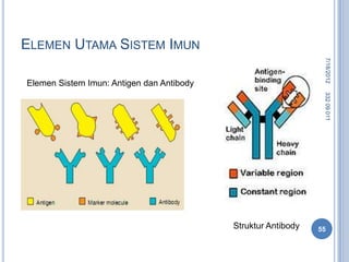 ELEMEN UTAMA SISTEM IMUN




                                                                7/18/2012
Elemen Sistem Imun: Antigen dan Antibody




                                                                332 09 011
                                           Struktur Antibody   55
 