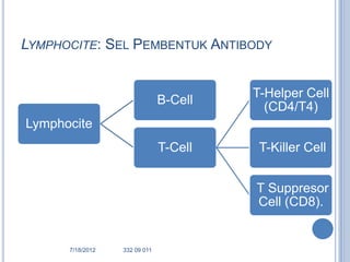 LYMPHOCITE: SEL PEMBENTUK ANTIBODY


                                        T-Helper Cell
                               B-Cell
                                          (CD4/T4)
Lymphocite
                               T-Cell    T-Killer Cell


                                        T Suppresor
                                        Cell (CD8).


      7/18/2012   332 09 011                  56
 