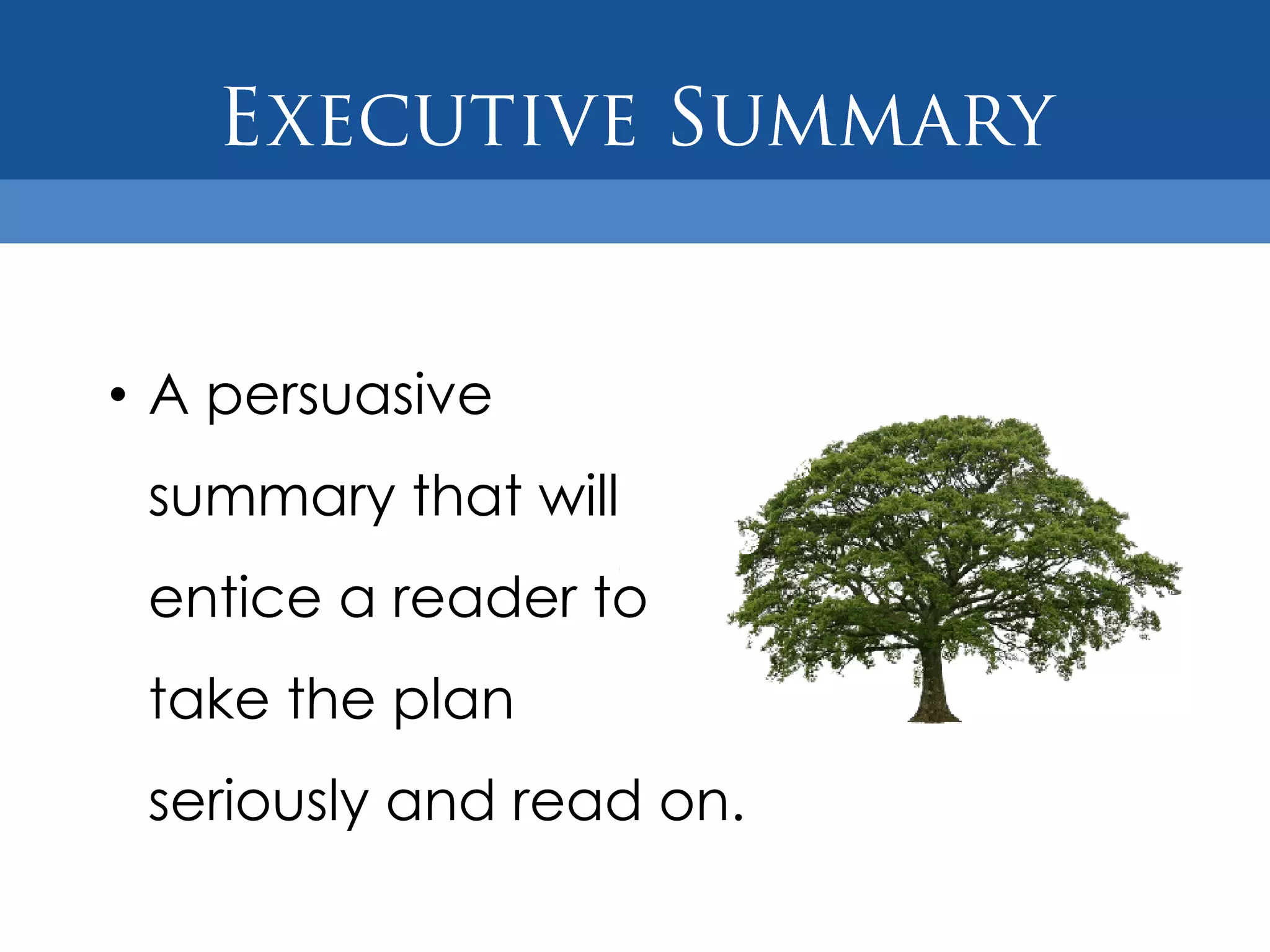 • A persuasive
 summary that will
 entice a reader to
 take the plan
 seriously and read on.
 