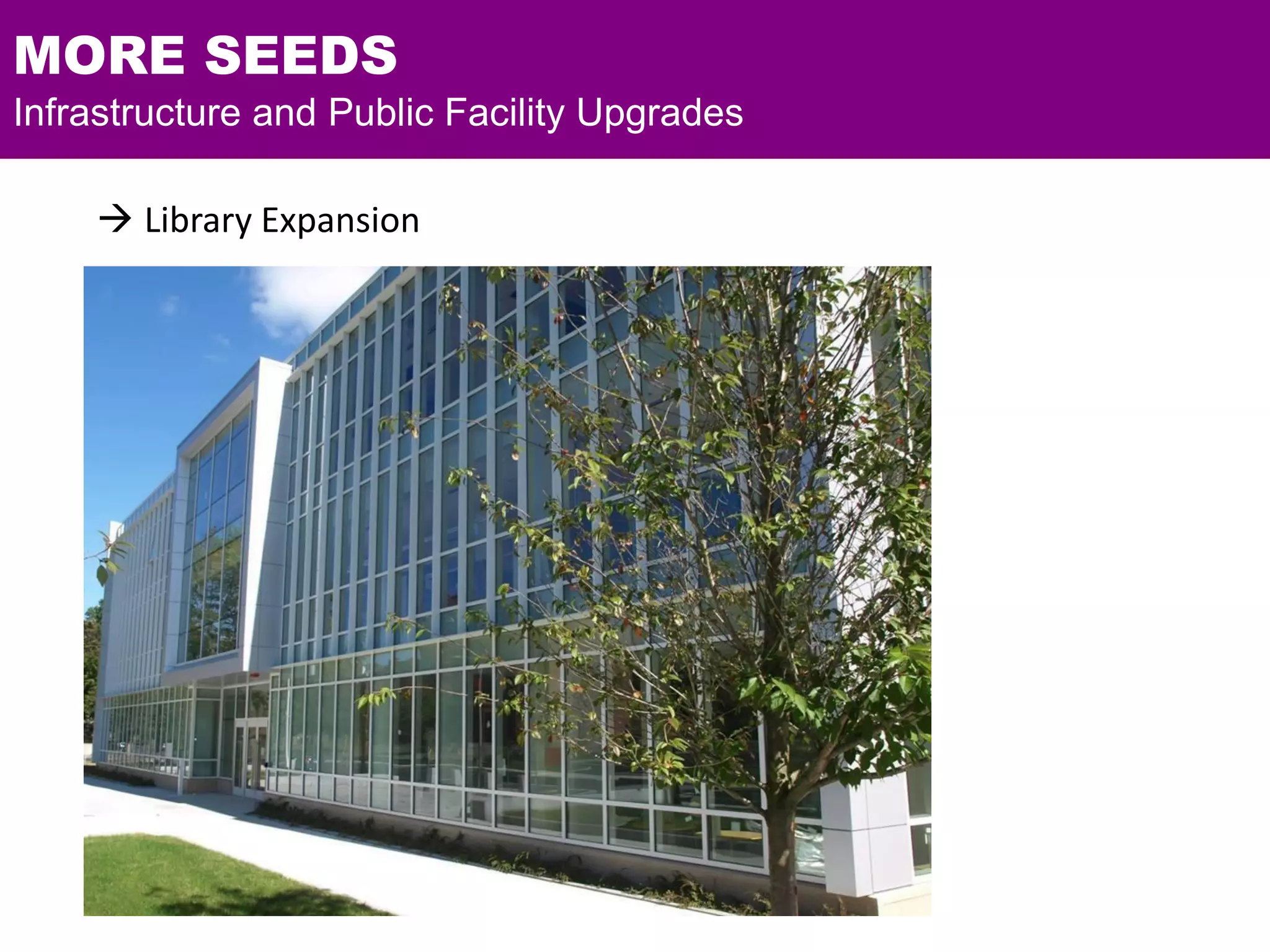 MORE SEEDS
Infrastructure and Public Facility Upgrades
 Library Expansion
 
