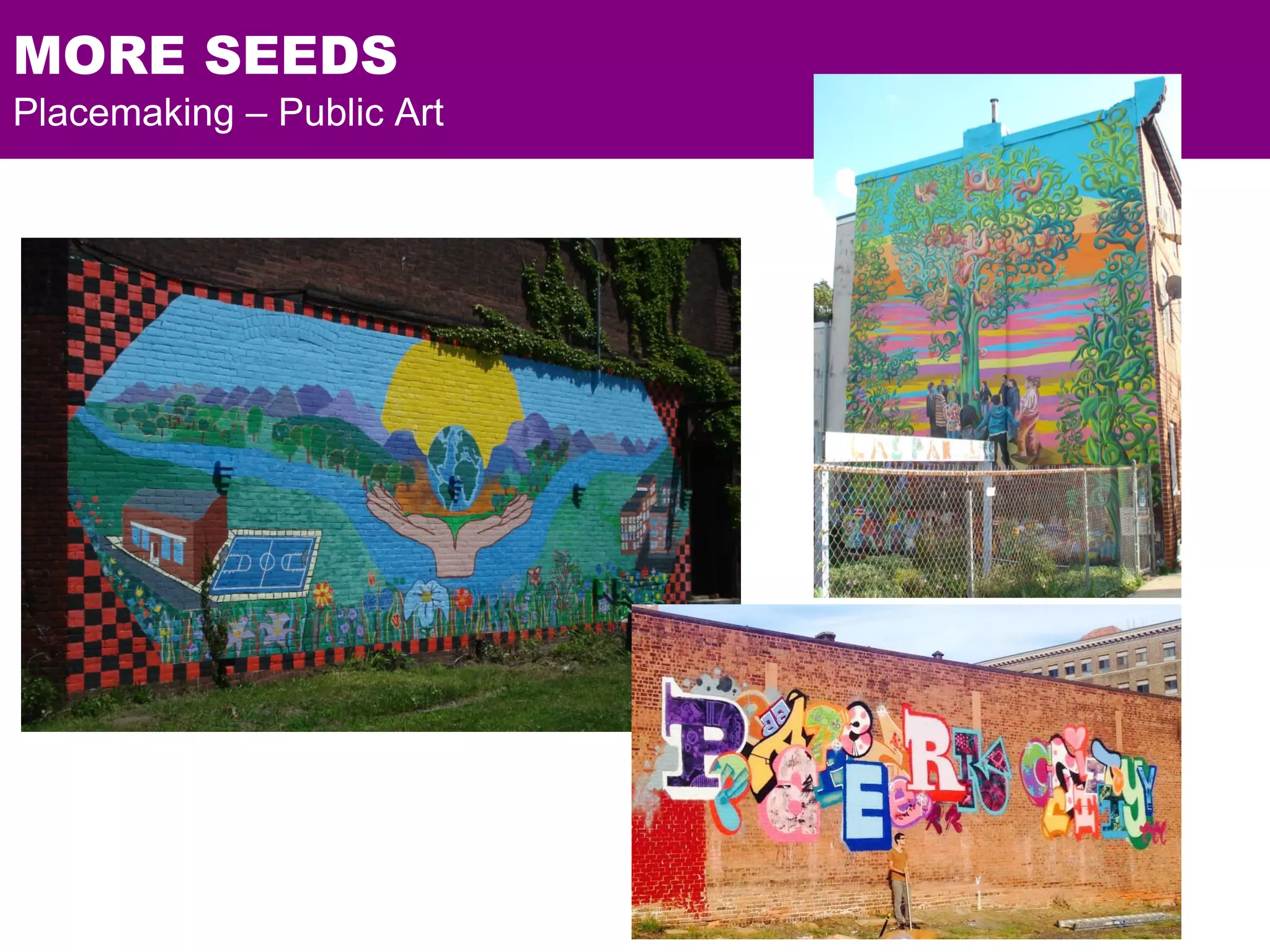 MORE SEEDS
Placemaking – Public Art
 