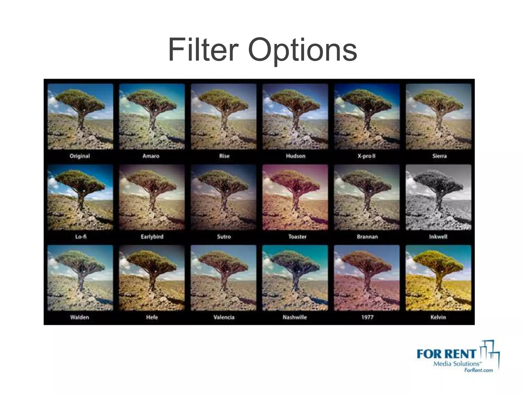 Filter Options
 