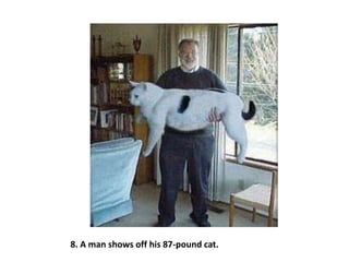 8. A man shows off his 87-pound cat.
 