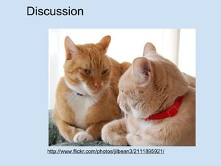 Discussion http://www.flickr.com/photos/jilbean3/2111895921/ 