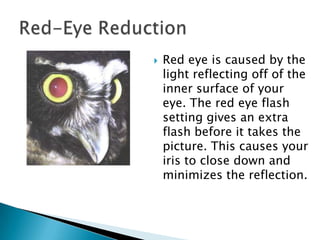   Red eye is caused by the
    light reflecting off of the
    inner surface of your
    eye. The red eye flash
    sett...