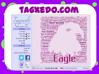 tagxedo.com
 