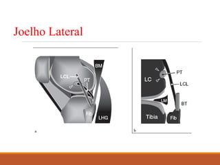 Joelho Lateral
 