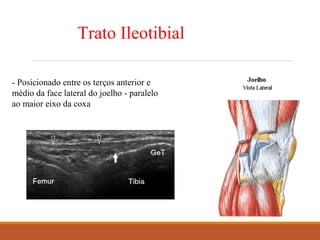 Trato Ileotibial
- Posicionado entre os terços anterior e
médio da face lateral do joelho - paralelo
ao maior eixo da coxa
 