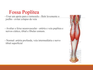 Fossa Poplítea
- Usar um apoio para o tornozelo - fletir levemente o
joelho - evitar colapso da veia
- Avaliar o feixe neurovascular - artéria e veia poplitea e
nervos ciático, tibial e fibular comum.
- Normal: artéria profunda, veia intermediária e nervo
tibial superficial
 