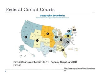 Federal Circuit Courts
Circuit Courts numbered 1 to 11, Federal Circuit, and DC
Circuit
http://www.uscourts.gov/Court_Locator.as
px
 