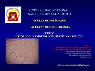 UNIVERSIDAD NACIONAL
       SAN LUIS GONZAGA DE ICA

           ECUELA DE POSTGRADO

        FACULTAD DE ODONTOLOGIA

                   CURSO:
HISTOLOGIA Y EMBRIOLOGIA BUCOMAXILOFACIAL


                                                                 TEMA 13.-
                         DESARROLLO Y ESTRUCTURA HISTOLÓGICA
                       DE LA ARTICULACIÓN TEMPOROMANDIBULAR
                                    Características histológicas del cóndilo,
                                    cavidad glenoidea, eminencia articular,
                                        disco, cápsula. Membrana sinovial
                                                           y líquido sinovial.




                            carlosespinozamontes@yahoo.es
 