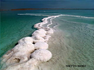 MRTVO MORE
 