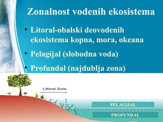 Zonalnost vodenih ekosistema
• Litoral-obalski deo vodenih
ekosistema kopna, mora, okeana
• Pelagijal (slobodna voda)
• Profundal (najdublja zona)
PELAGIJAL
PROFUNDAL
 
