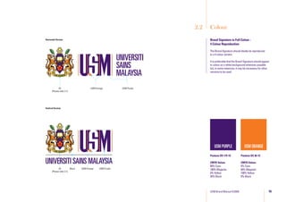 Usm25 Brand Manual | PDF