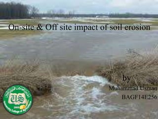 On-site & Off site impact of soil erosion
by
Muhammad Usman
BAGF14E256