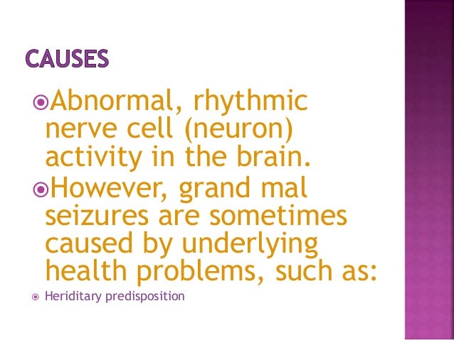 grand mal seizure zonisamide eeg grand mal seizure zonisamide eeg