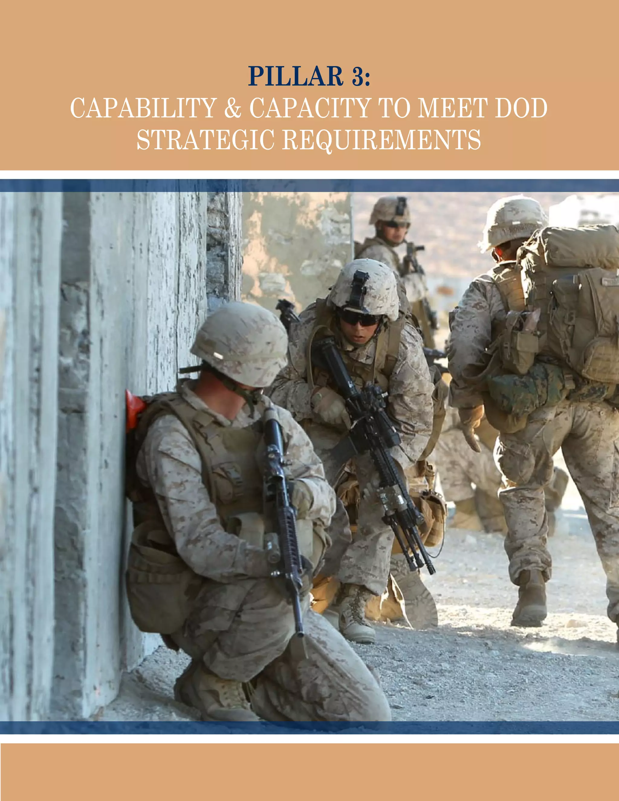 Pillar 3:
Capability  Capacity to Meet DoD
Strategic Requirements
 