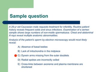 Sample question
A 29-yr old Caucasian male requests treatment for infertility. Routine patient
history reveals frequent colds and sinus infections. Examination of a semen
sample shows large numbers of non-motile spermatozoa. Chest and abdominal
X-rays reveal multiple anatomic abnormalities.
Analysis of the patient’s sperm by electron micrsoscopy would most likely
reveal;
A) Absence of basal bodies
B) Lack of mitochondria in the midpiece
C) Dynein arms missing from the outer doublets
D) Radial spokes are incorrectly coiled
E) Cross-links between axoneme and plasma membrane are
shortened
 